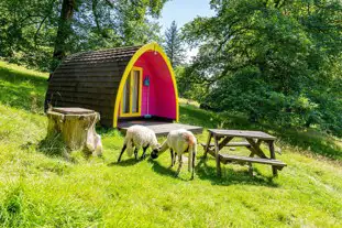 Rydal Hall Campsite, Ambleside, Cumbria