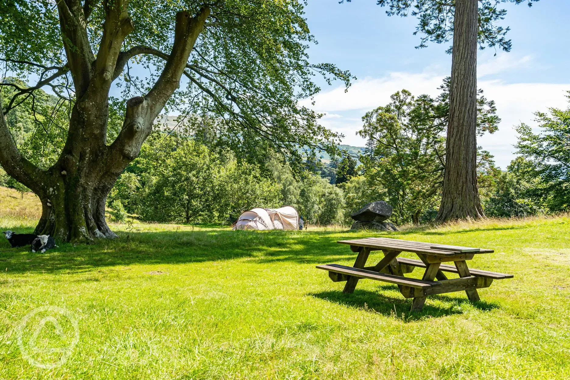 Picnic benches in the camping area