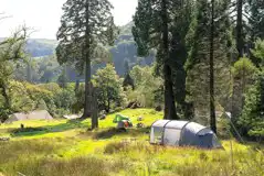 Non electric grass pitches in remote fields surrounded by trees