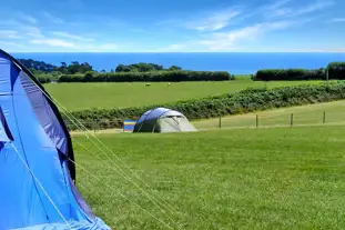 Sea View Campsite, Dartmouth, Devon