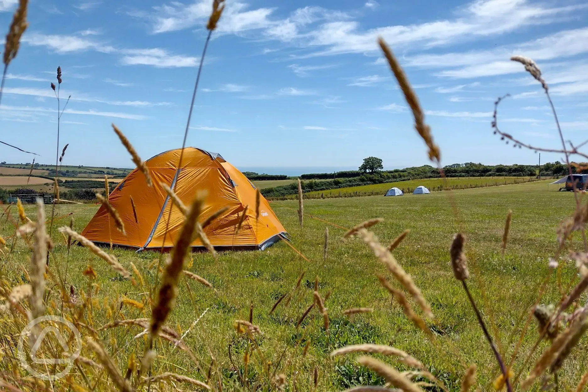 Grass pitches