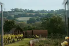 Vineyard Wigwams