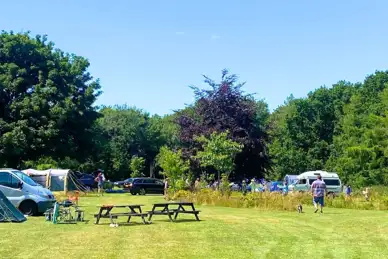 Cherry Tree Glamping