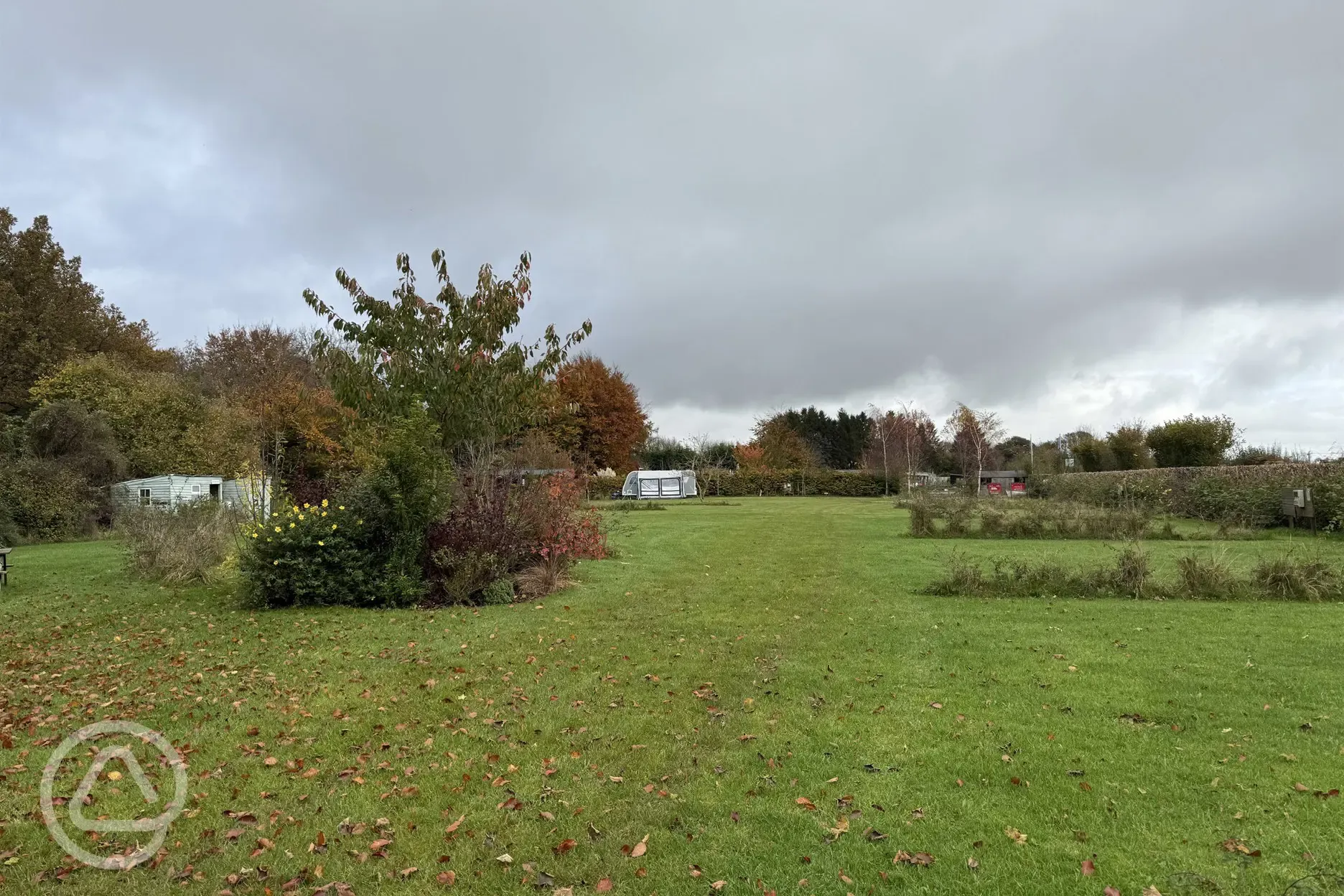 Grass pitches