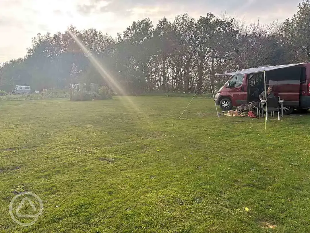 Grass pitches