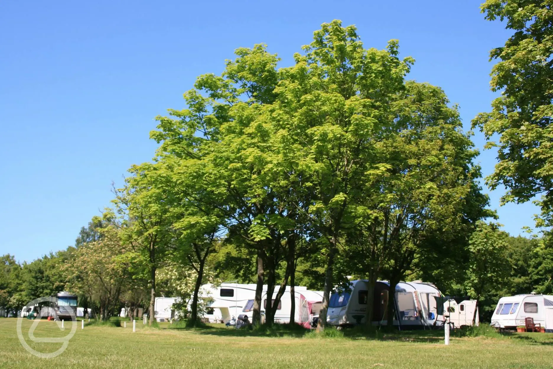 Grass pitches - optional electric