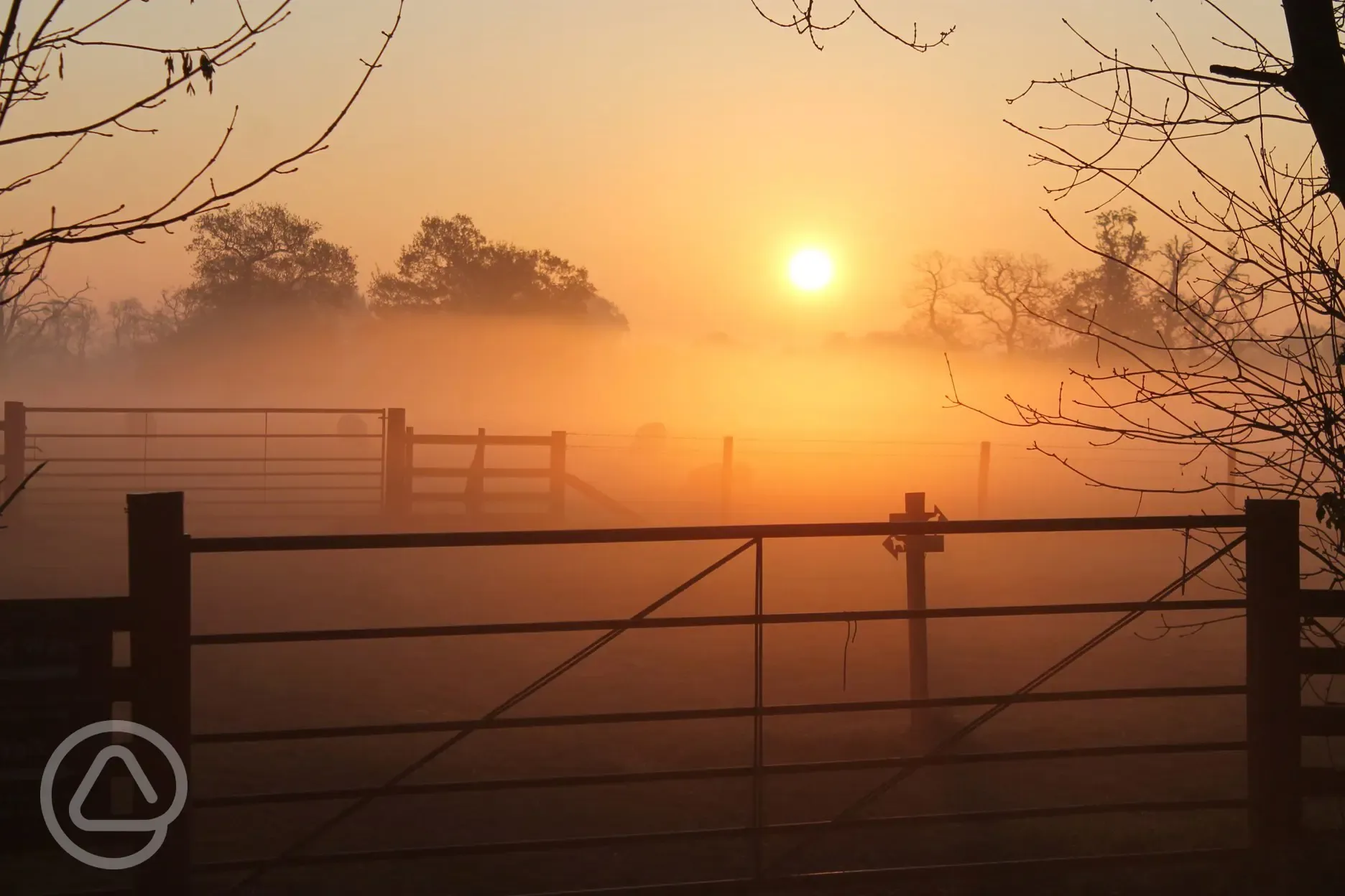 misty morning