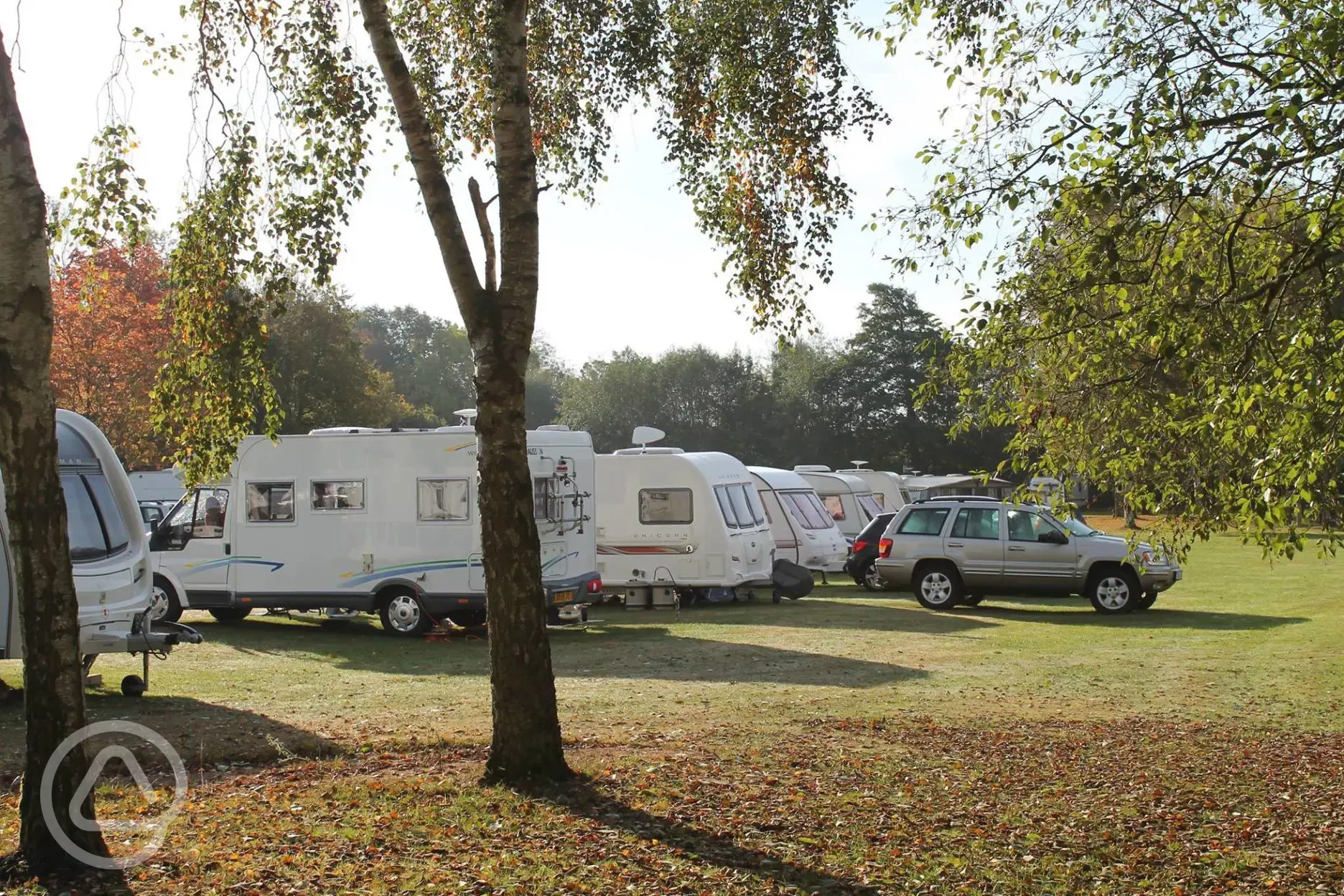 Site in autumn