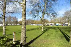 Grass pitches - optional electric