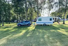 Optional electric grass pitches in a more woodland setting