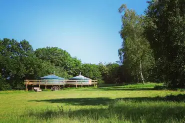 Oak yurt