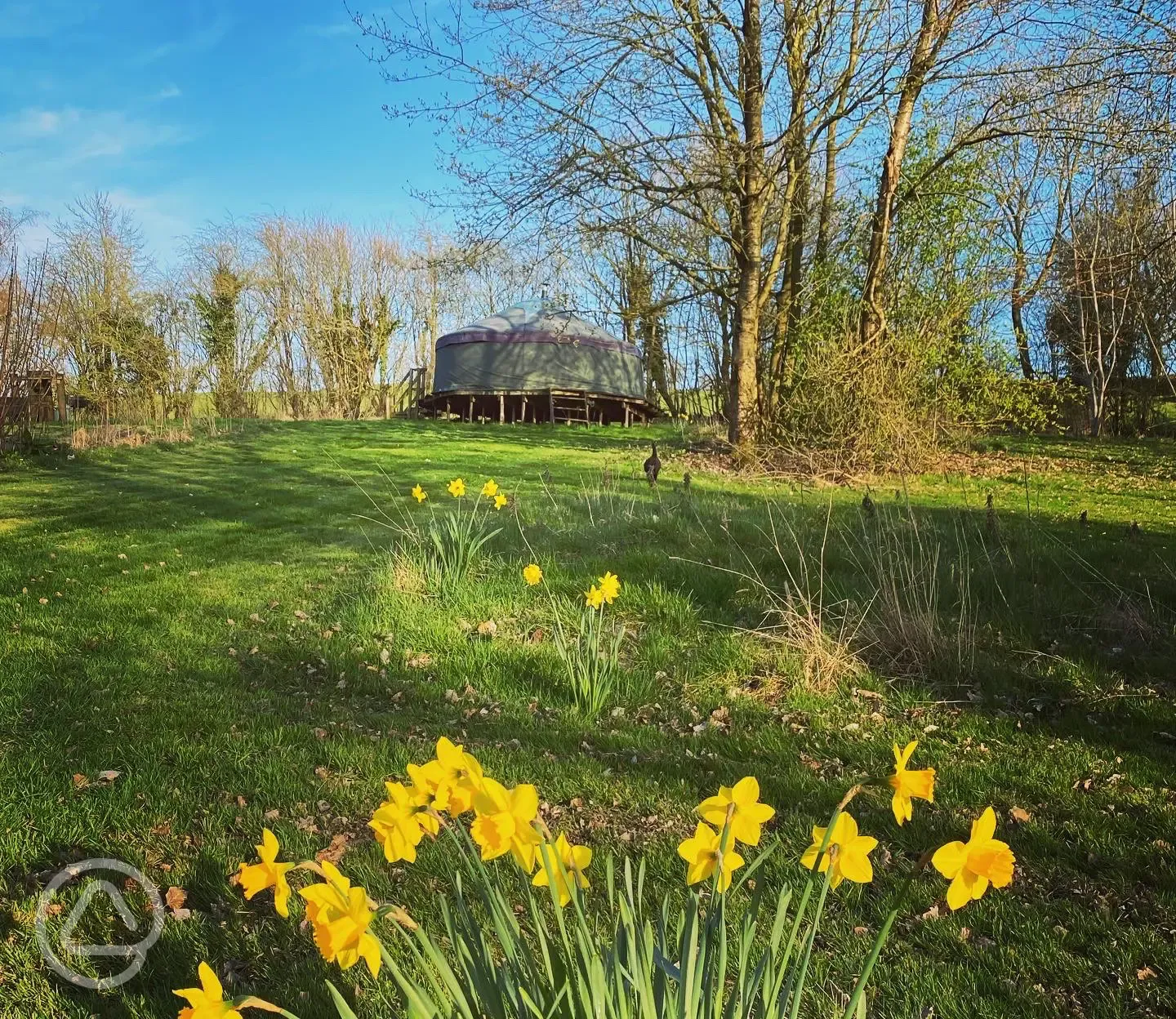 Cherry yurt