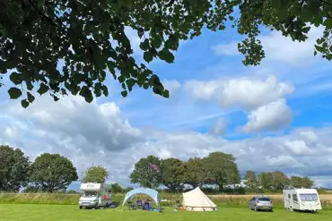 Grass pitches