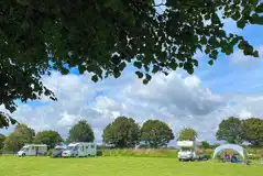 Grass pitches