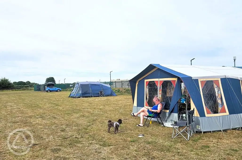 Grass pitches