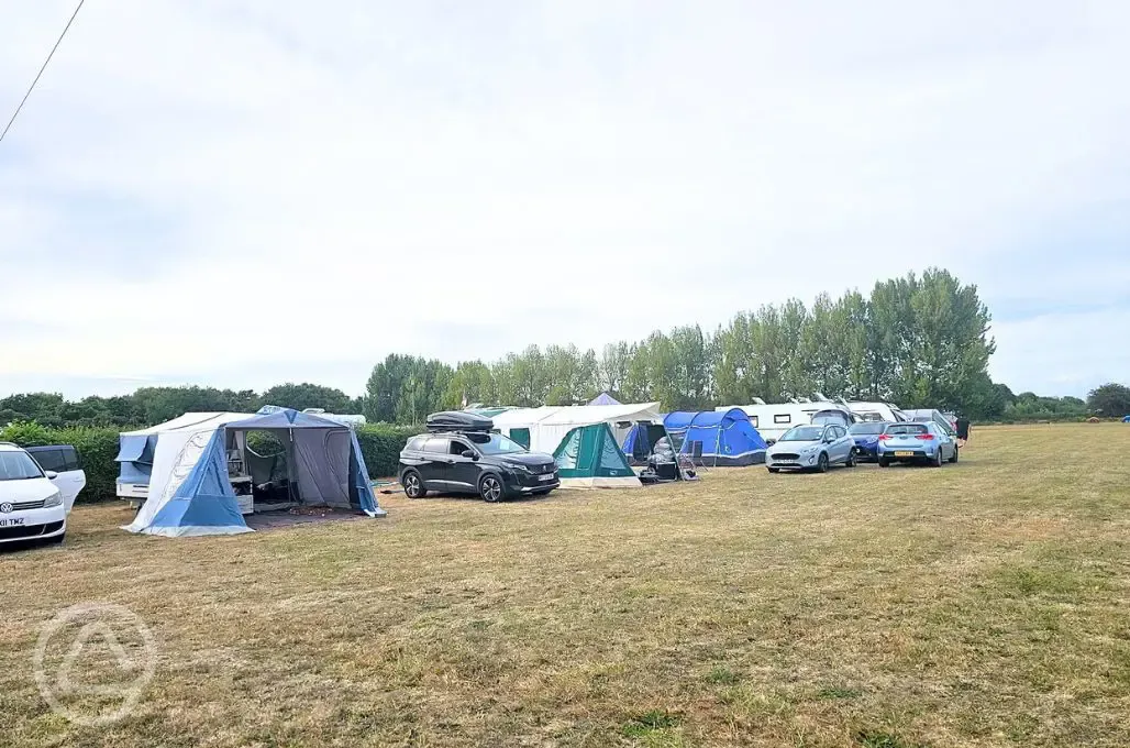 Grass pitches