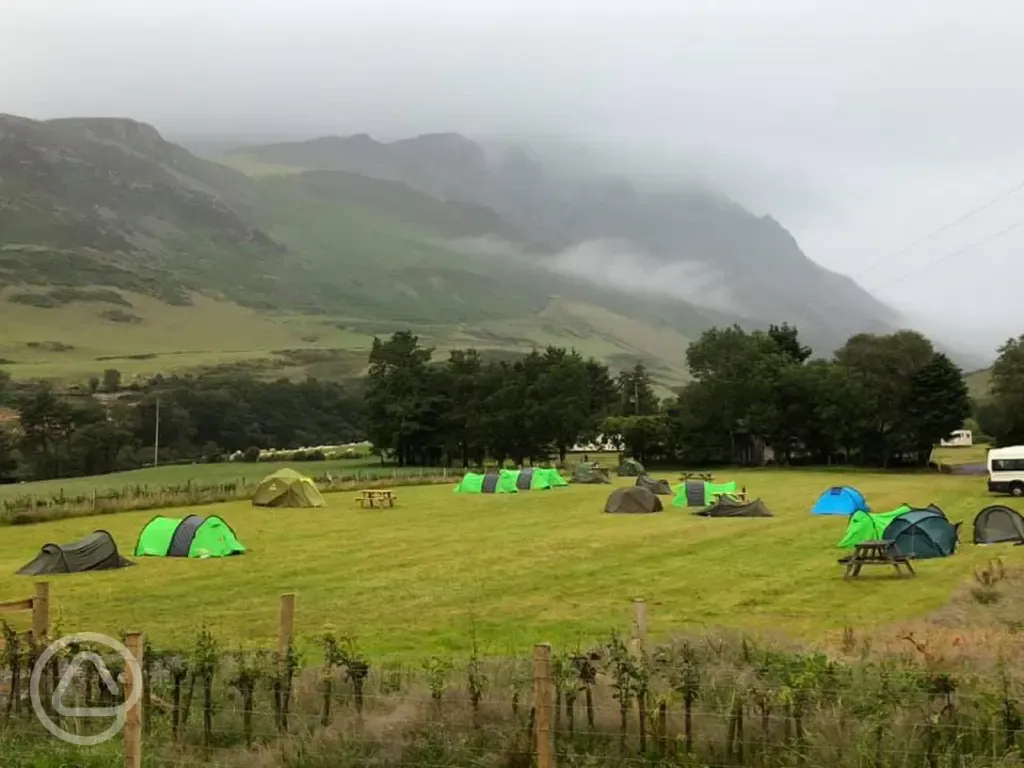 Tent camping at Talymignedd Campsite