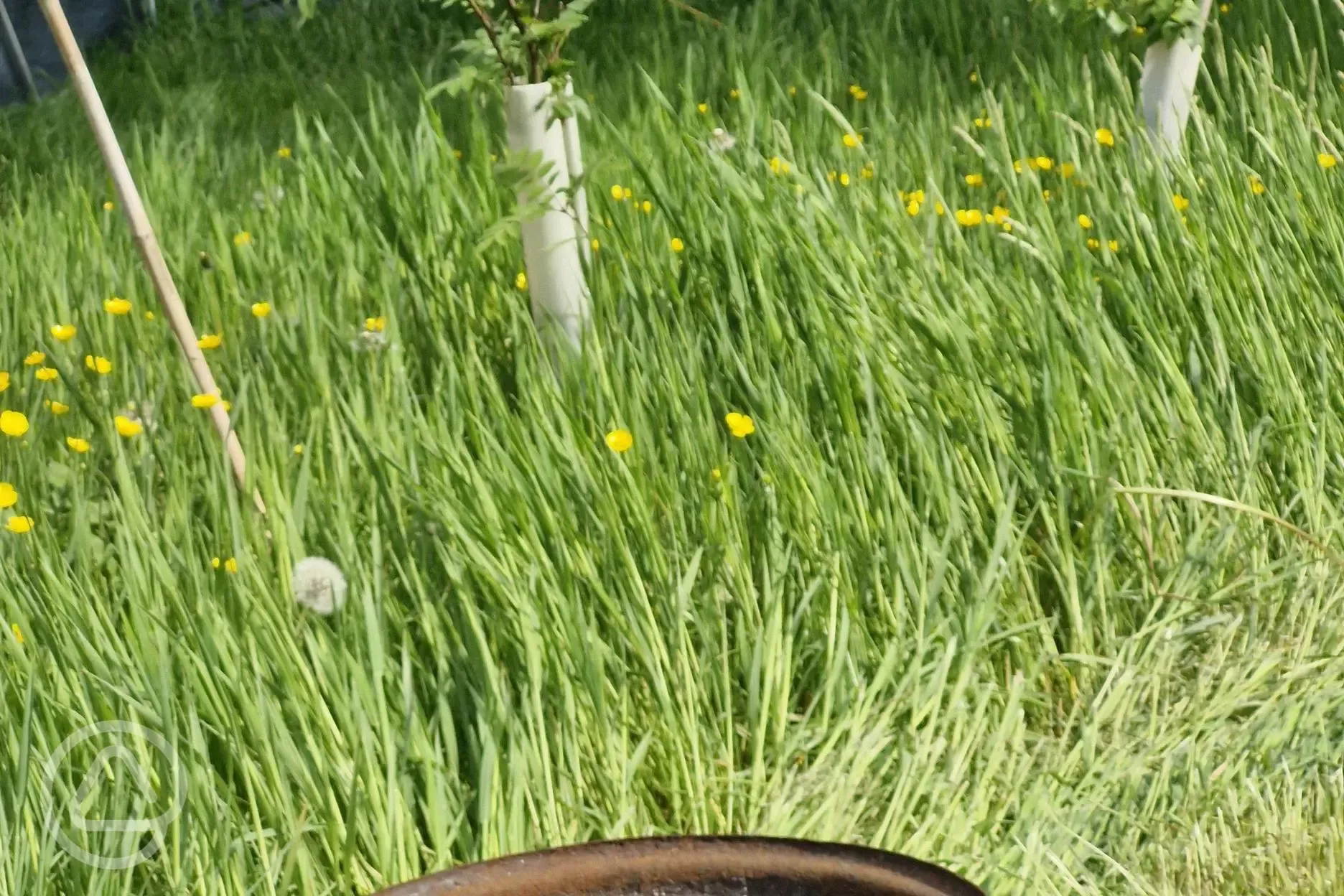 Fire pits available at Teifi Meadows