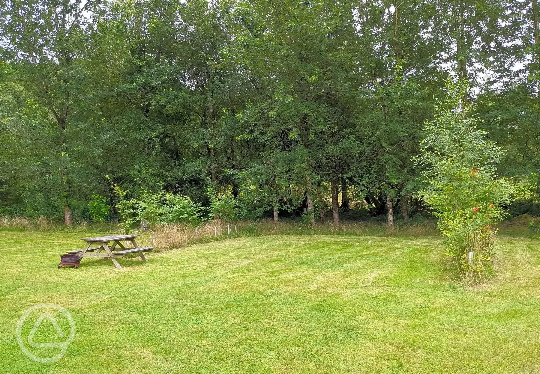 Grass pitches with optional 10 amp hook up and picnic benches