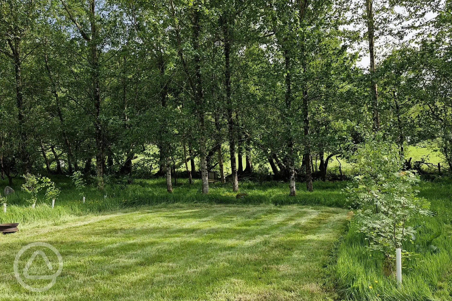 Grass pitches with optional 10 amp hook up 