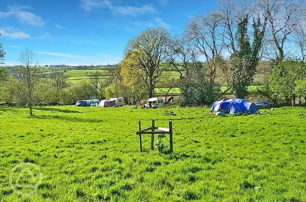 Grass pitches with optional 10 amp hook up 