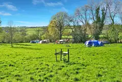 Grass pitches with optional 10 amp hook up Grass pitches with optional 10 amp hook up