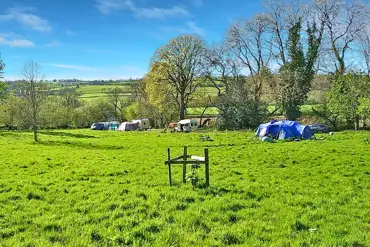 Grass pitches with optional 10 amp hook up 