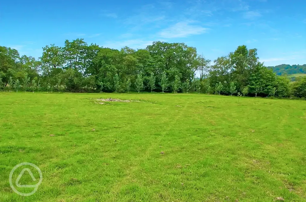 Grass pitches with optional 10 amp hook up 