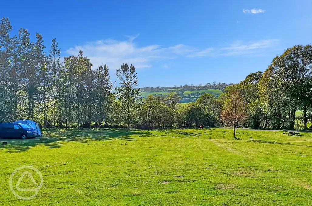 Grass pitches with optional 10 amp hook up for tents and tourers