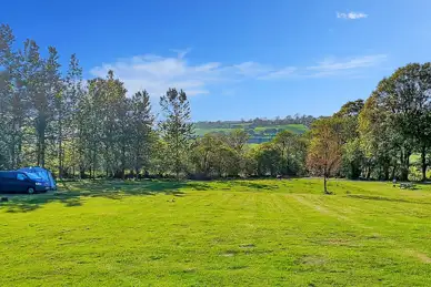 Teifi Meadows