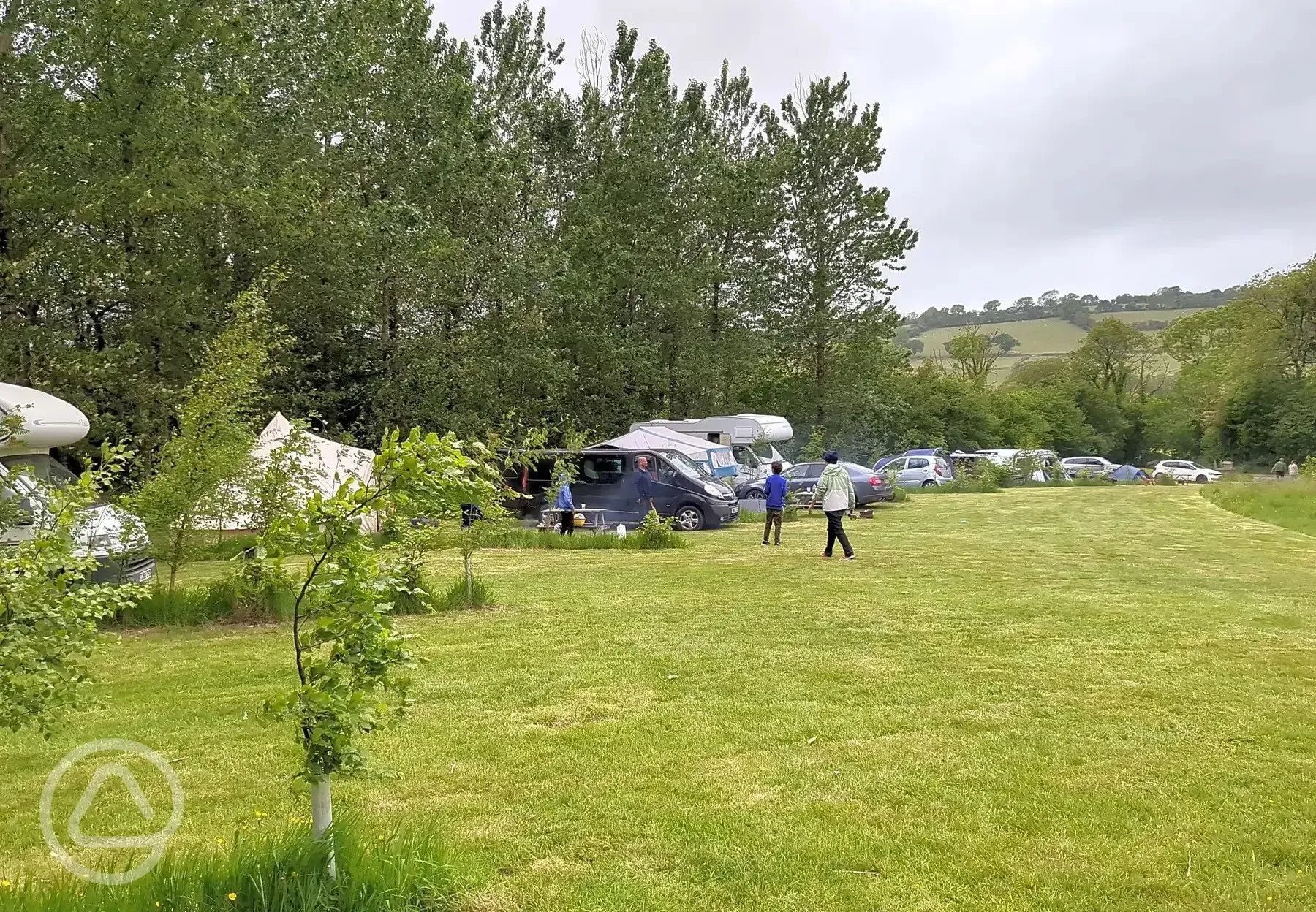 Grass pitches with optional 10 amp hook up 