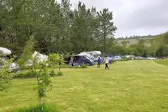 Grass pitches with optional 10 amp hook up Grass pitches with optional 10 amp hook up