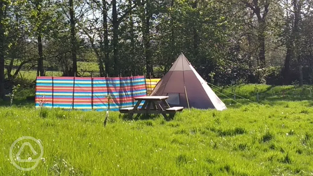 Tents on grass pitches with optional 10 amp hook up