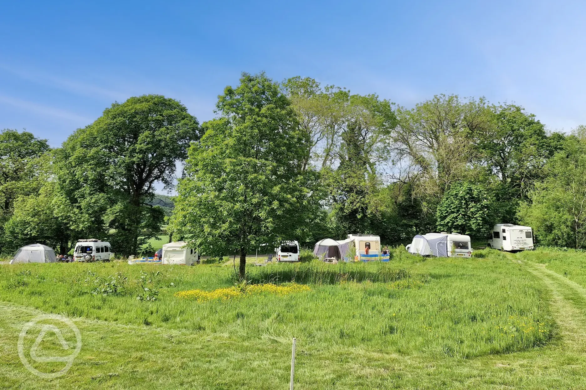 Grass pitches with optional 10 amp hook up and awning space