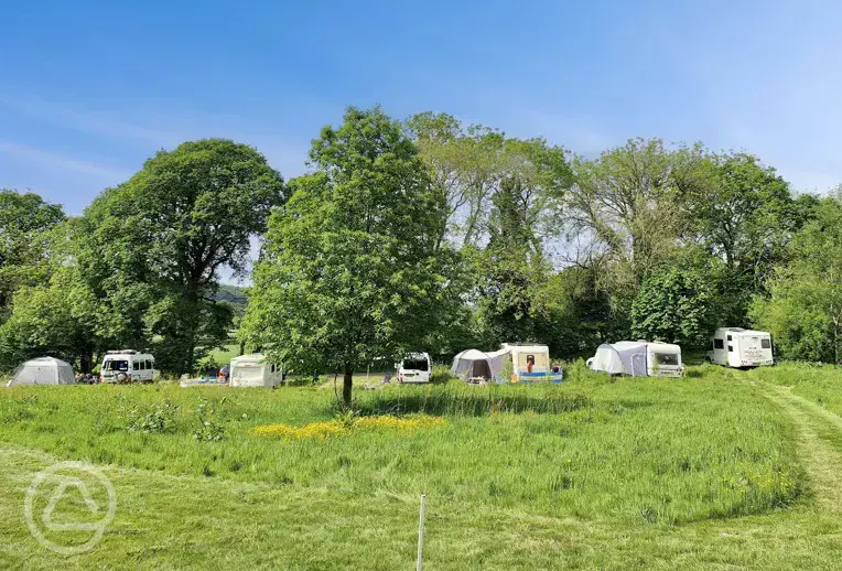 Grass pitches with optional 10 amp hook up and awning space