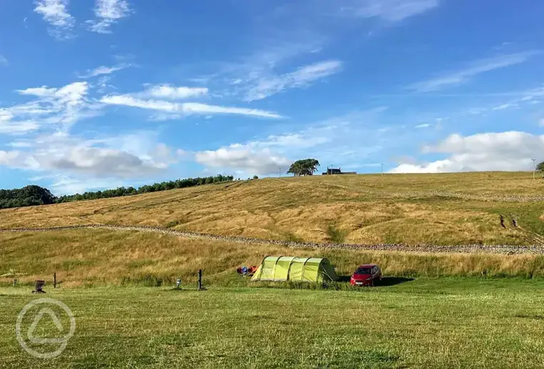 Grass pitches