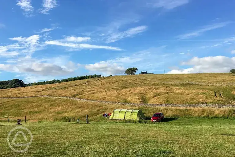 Grass pitches