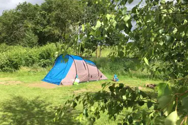 Non electric grass pitches