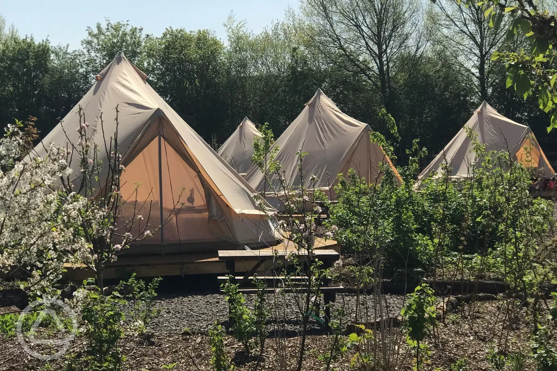 Bell Tents