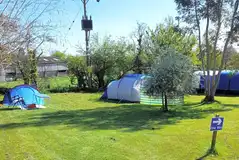 Electric grass pitches (4m x 6m)