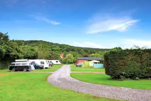 Rodney Stoke Caravan and Camping Park, Rodney Stoke, Cheddar, Somerset (7 miles)