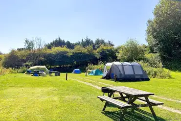 Non electric super grass pitches with a fire pit and picnic bench 