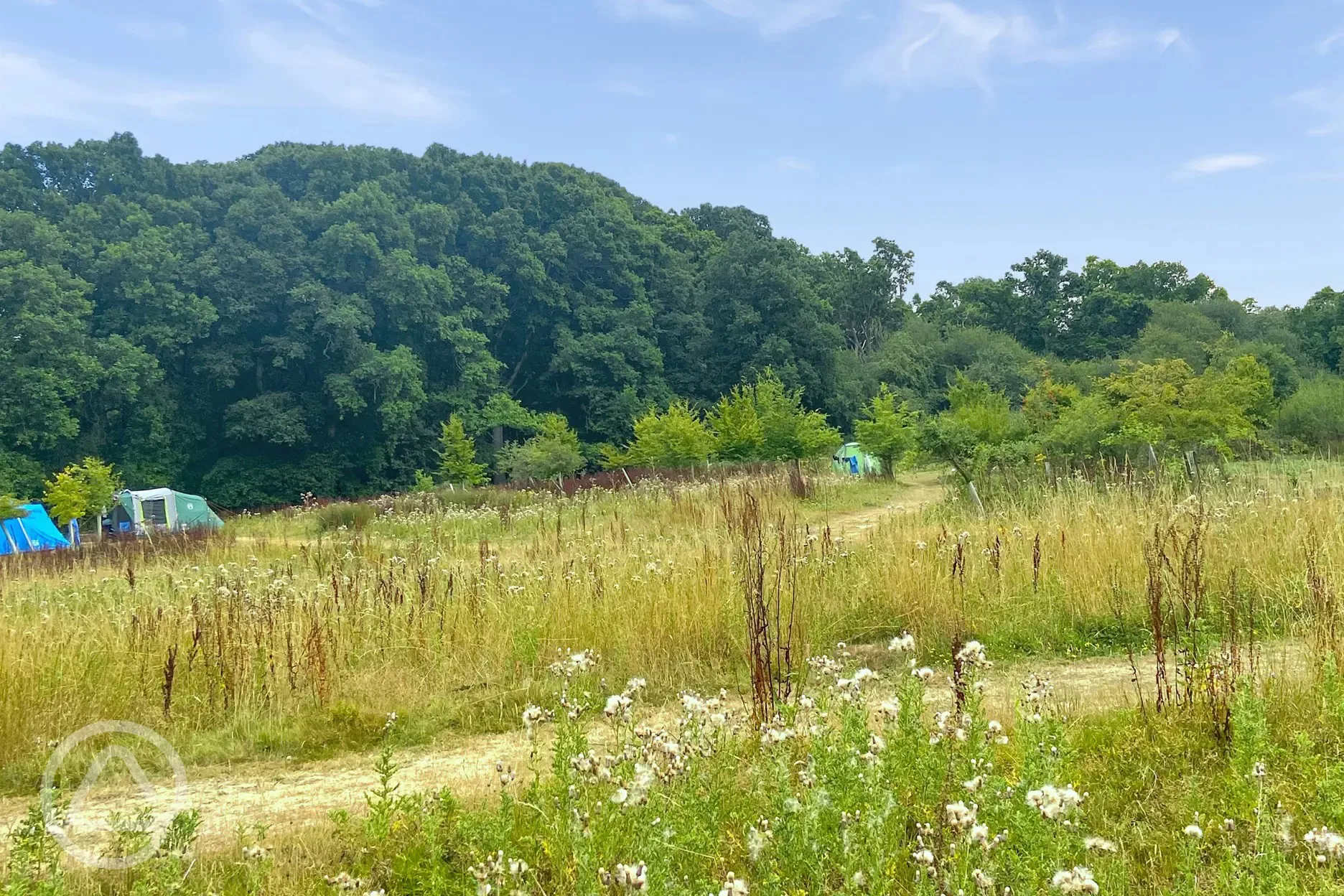 Non electric meadow pitches