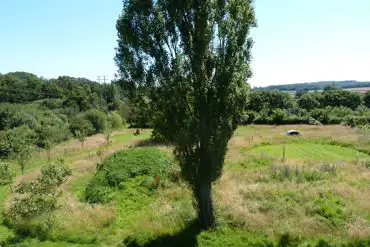 Non electric meadow pitches