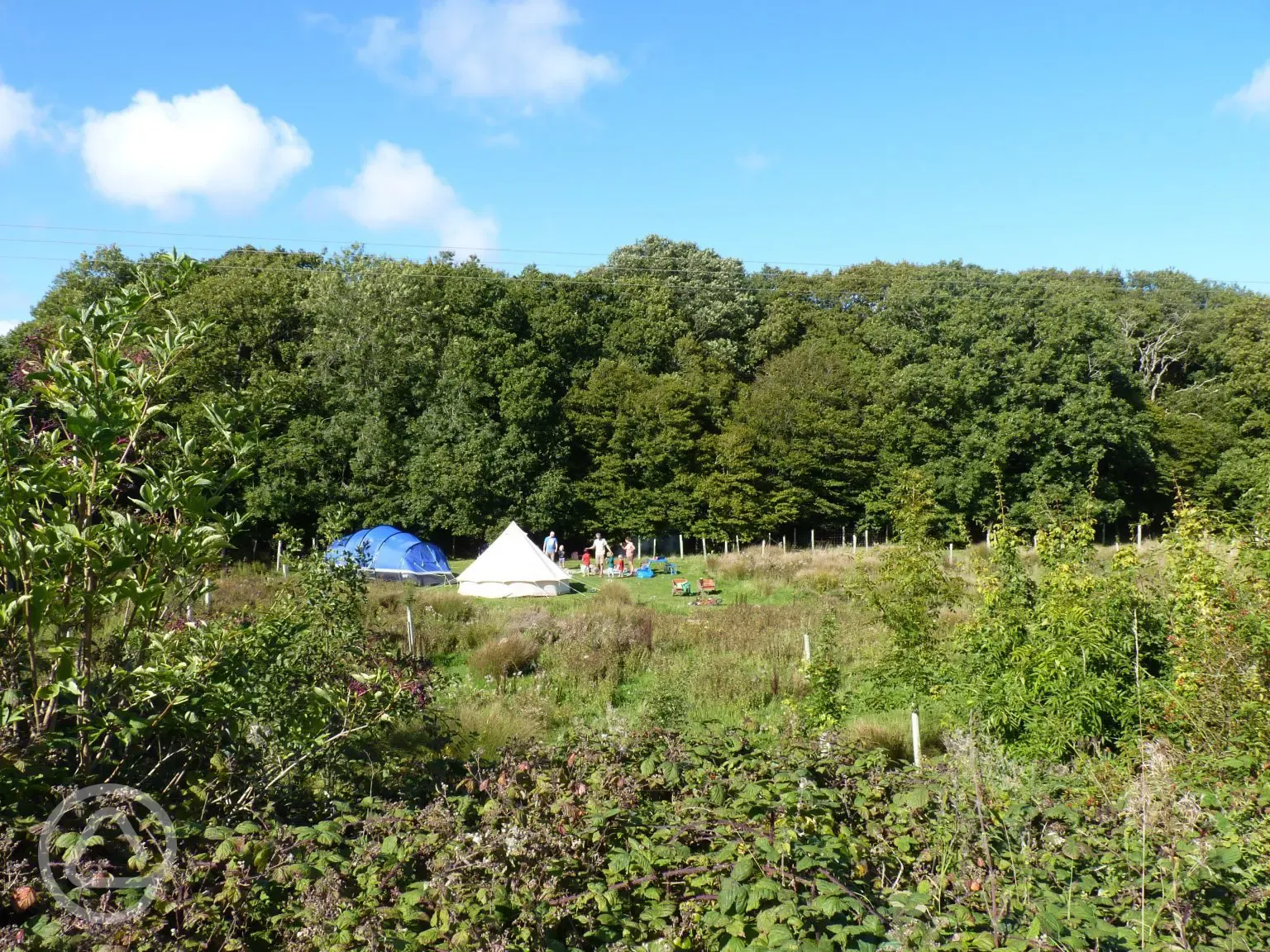 Non electric meadow pitches