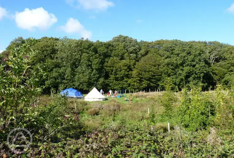 Camping Meadow Pitches