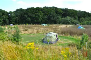 The Secret Campsite, Barcombe, Lewes, East Sussex (6.8 miles)