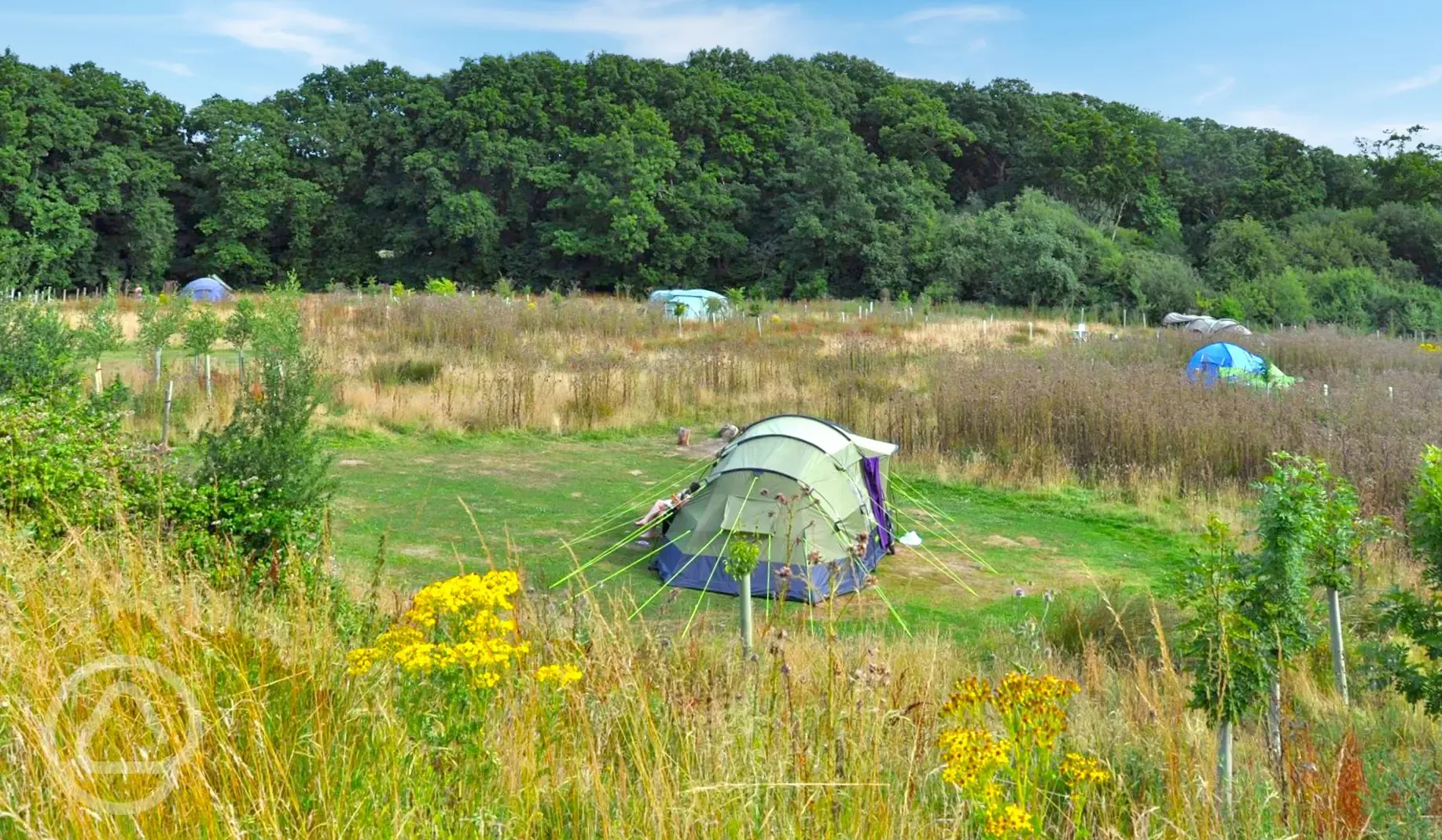 Non electric meadow pitches