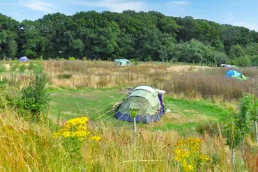 Non electric meadow pitches at The Secret Campsite