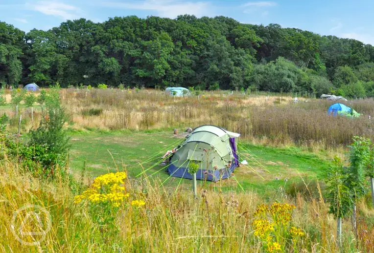 Non electric meadow pitches